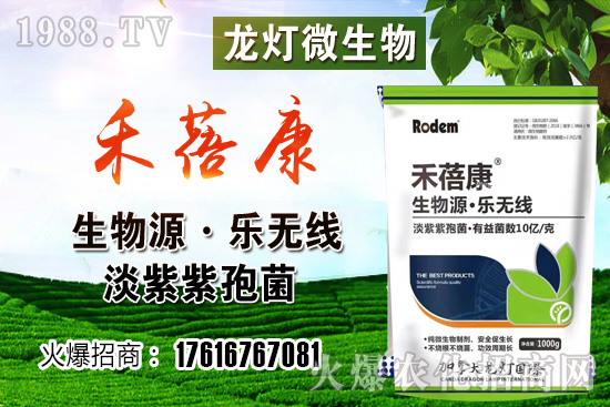 ���t���ڷ۷����������t��¶��ʹ���Nֲ�кβ�ͬ��