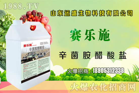 �����Ә���ڷ۷����������Ә���ζ�������