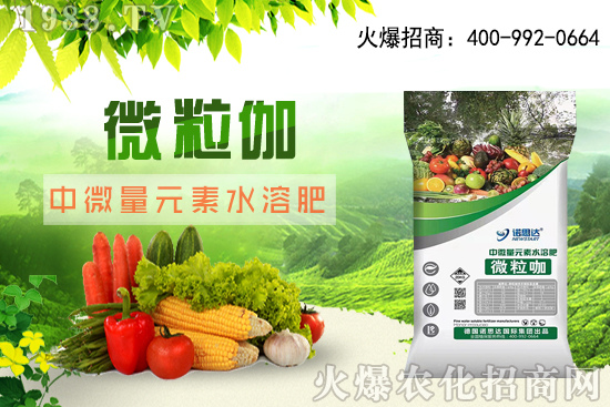 ����ԓ��ô��������������r�g������ע��Ҫ�c��