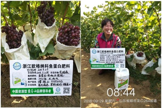 �͜ؾ����~(y��)���׷�