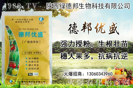 �����r(ji��)������Xһ������Nֲ�ĭh(hu��n)�������x������