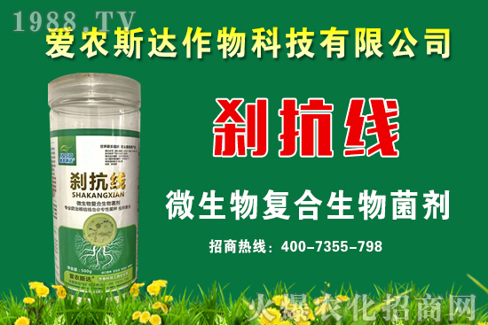 ���ռZ�r��2020��9��11��С���r�������A(y��)�y��