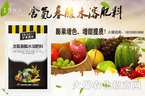 �|���m����ʲô����(ji��)�������|������M(j��n)�зNֲ��