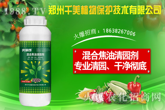 ���X(qi��n)�ݷN����ô�N�����X(qi��n)�ݷNֲ������B��