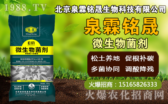 â��ʲô�r�g�Nֲ��â���Nֲ��������ˮ�r�ڣ�