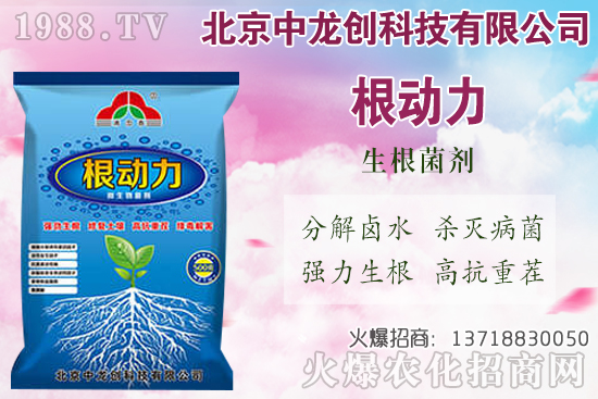 ���}���������������Щ�����}��ʩ�ʼ��g(sh��)Ҫ�c��