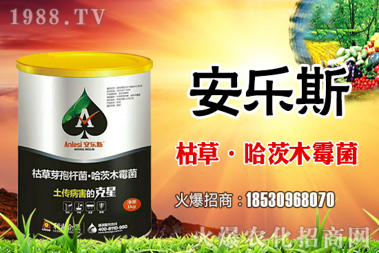 С���N����ُ�I߀��������С�������N����Ҫע����Щ��(n��i)����