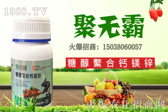 沙糖桔苗多少錢一棵?沙糖桔什么時(shí)候結(jié)果?栽培要點(diǎn)有哪些?