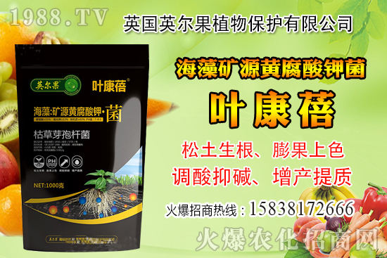 ��ô�Д����׺�ˮ��������������ˮ���й��ж���(j��ng)���