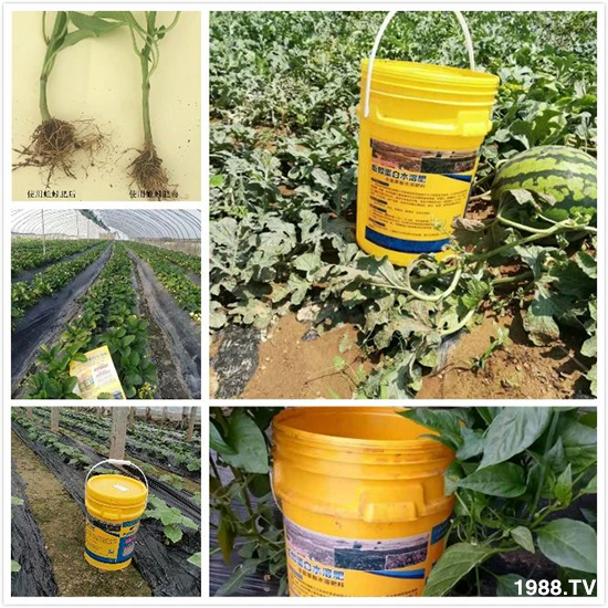 水溶肥市場大變革。亢T寰、魚蛋白將被它代替!1000多用戶鼎力推薦!