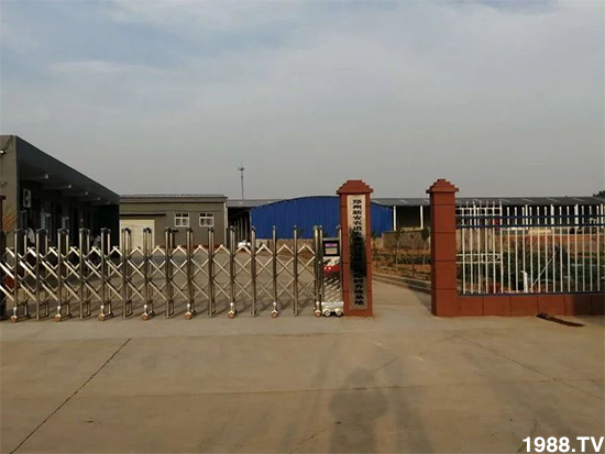 水溶肥市場大變革!?海藻精、魚蛋白將被它代替!1000多用戶鼎力推薦!