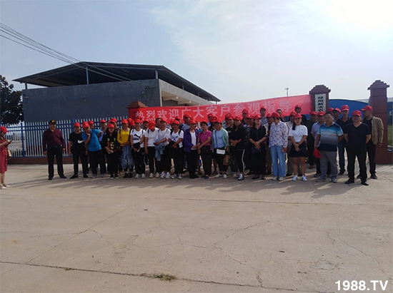 水溶肥市場大變革!?海藻精、魚蛋白將被它代替!1000多用戶鼎力推薦!