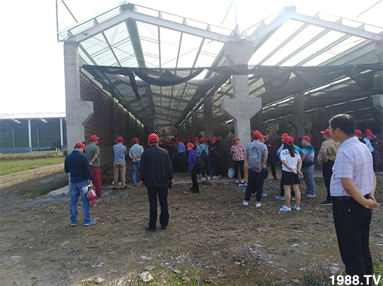 水溶肥市場大變革。亢T寰、魚蛋白將被它代替!1000多用戶鼎力推薦!