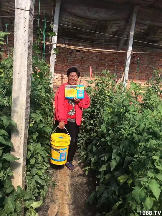 水溶肥市場大變革。亢T寰、魚蛋白將被它代替!1000多用戶鼎力推薦!