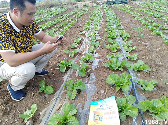 水溶肥市場大變革?海藻精、魚蛋白將被它代替!1000多用戶鼎力推薦!