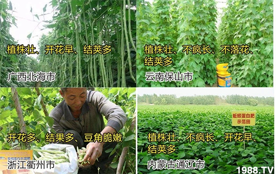 水溶肥市場大變革。亢T寰、魚蛋白將被它代替!1000多用戶鼎力推薦!