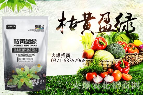 ʮ�¼�������(l��i)�����r(ji��)�ܝq������9��29��С���r(ji��)���߄�(sh��)��