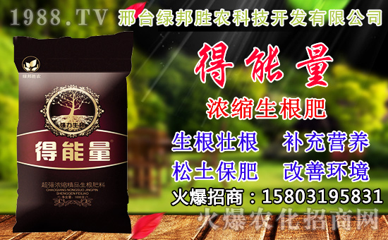 2020��С���N������x���߮a(ch��n)С��Ʒ�N����Щ��