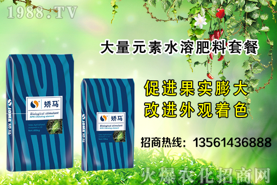 �＾����ʩ�ʵĺ�̎����Щ���＾����ʩ��ָ��(d��o)������