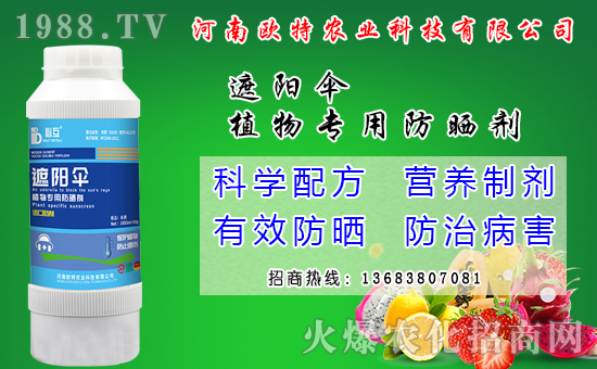 �R������Ժ���Щ�����׷N���R����׷Nģʽ��ʲô��̎��