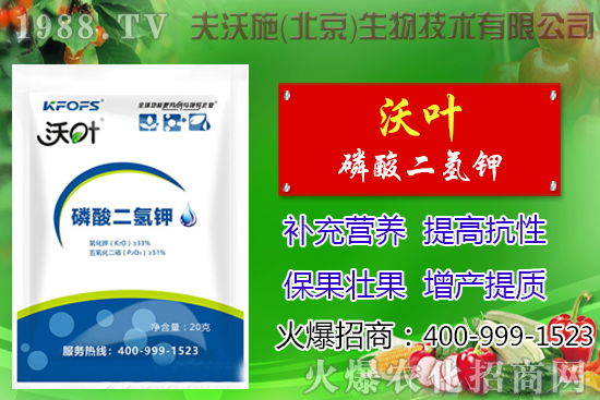 ���t��ժ�~����Щ��̎������ժ�~���g��ע�������