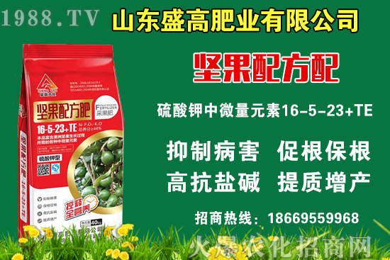 С���r��߀Ҫ�ϝq����9��9�Շ���(n��i)С���r��������