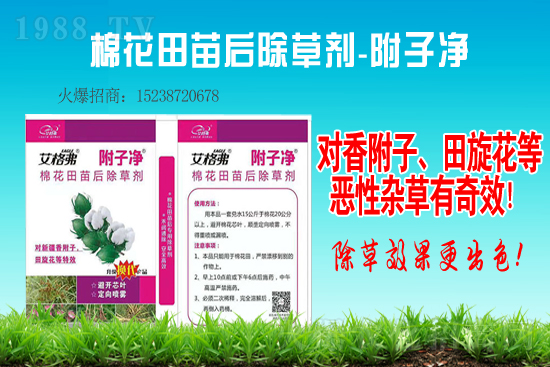 ���ѡ�����ɳ��݄��r������1��13��