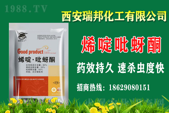 2021��1��18�՚�����ԭˎ�r(ji��)���߄�(sh��)