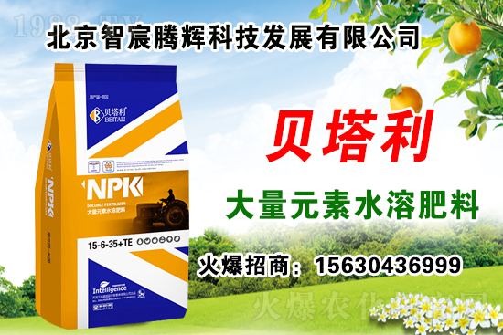 2020��Nʲôˎ����ٍ�X���Nֲˎ�����a(b��)�N������Щˎ���зNֲǰ����