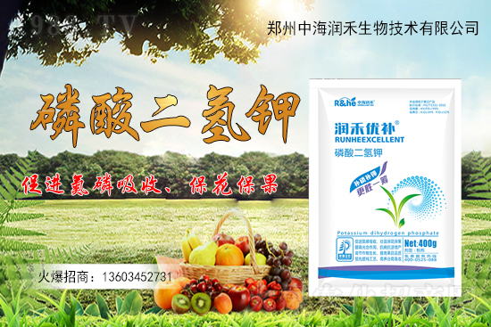 ����(sh��)һ���굽��ԓ��ôʩ��������(sh��)ʩ��ע�����(xi��ng)����Щ��