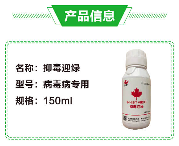 �ֶ�ӭ�G�����β�������-�G��_02