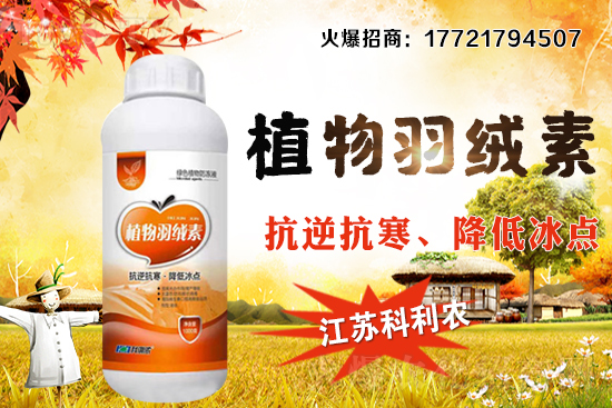 �����׷Nֲ�ܶ���ΰ�����������ʩ�ʼ��к��ڹ�����