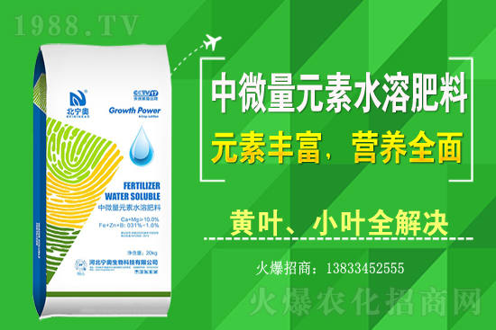 �S����ԓ��ô�Nֲ���S���˷Nֲ�^����ע����Щ���}��