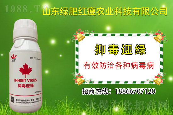 ���β�������Ҳ���ðΣ����ֶ�ӭ�G�����β�������