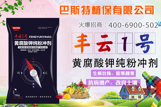 新品上市,定金翻倍!1000定金抵2000,超值優(yōu)惠,限時搶定...