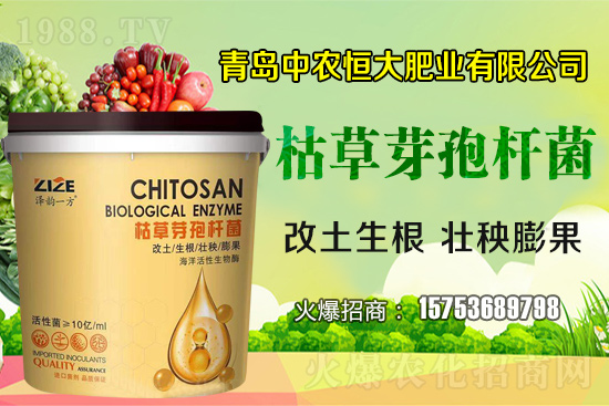 �ݲ�ѿ�ߗU������ǡ����С��᣿�ݲ�ѿ�ߗU�����w�������˽����