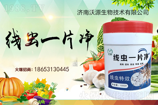根結(jié)線(xiàn)蟲(chóng)難防治,專(zhuān)治線(xiàn)蟲(chóng)“線(xiàn)蟲(chóng)一片凈”