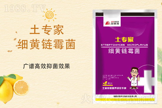 2021年10月11日磷銨市場價格行情日報