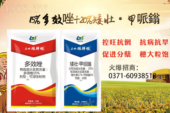 С����ǰ���L�a(ch��n)���pʧ��С���������x���������ֶա���