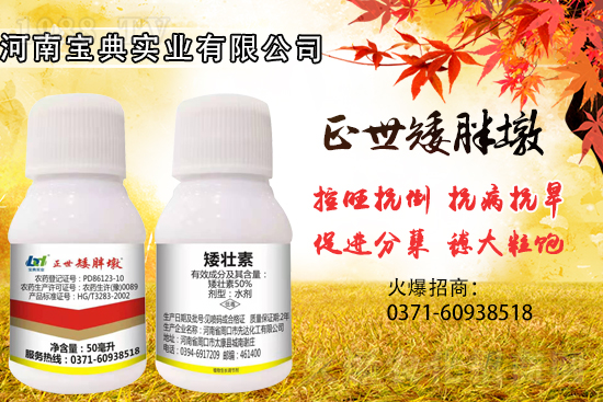 С���������ݲ��ɓ������I(y��)������Ч��������