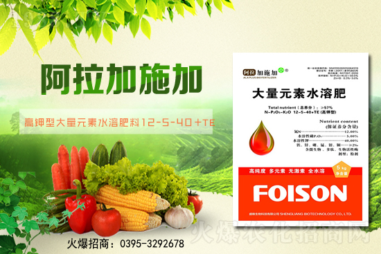 2��6��ȫ��С����r��С���r��ͻ��1.57Ԫ/��