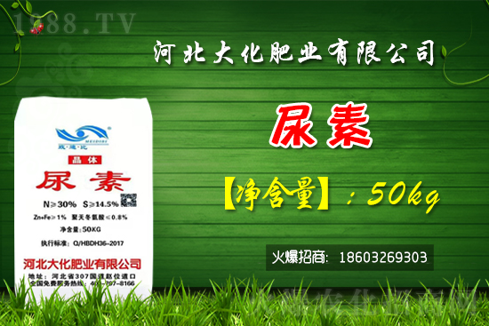 紅香蜜葡萄苗多少錢一棵?種植前景如何?