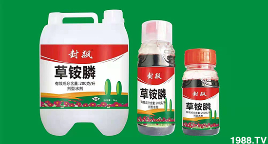 ���ճ��݄��r��2021.3.17