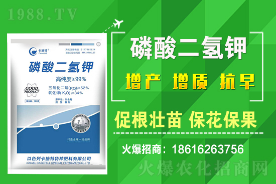 ���˷Nֲ��Ҫע����Щ���}�����˷Nֲԓ��ôʩ����