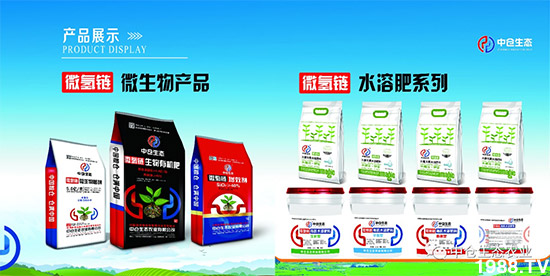 ���˟oζ���ϲ����������㡱�ǻ����ǵĵ���