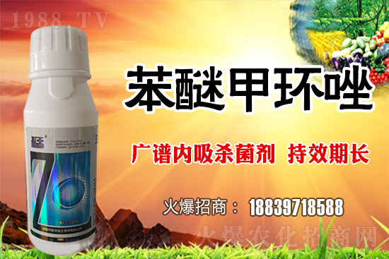 倒春寒風(fēng)險加大,如何做好冬小麥防護工作?