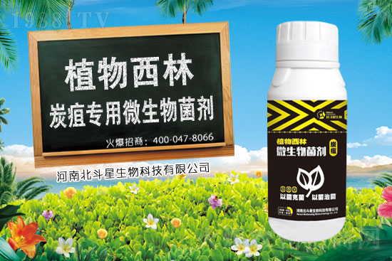 �࿹ù�ؚ������r(ji��)���߄�(sh��)2021��3��8��