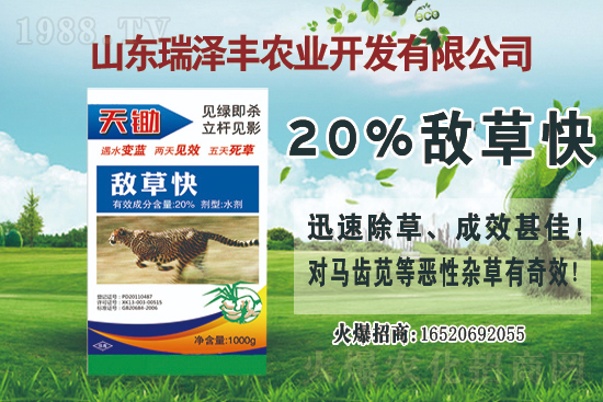 ���݄��r���Ӎ2021.4.12