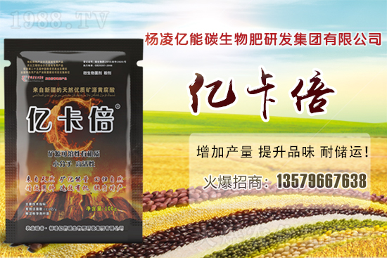 ���}�ۮa(ch��n)�����҇���Щʡ�������}������Щ��ҊƷ�N��