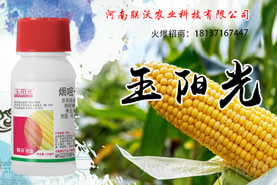 ���׳��ݞ�ʲô�x����������������݄���δ�